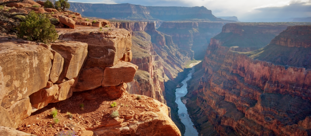 Natural Lucky Dragons
