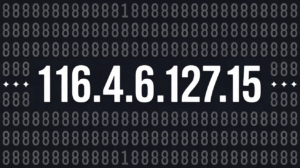 1164.68.127.15